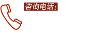 13357020662